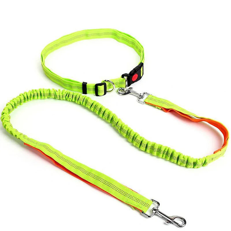 Hand Free Dog Leash Adjustable Dog Leash Waist Belt