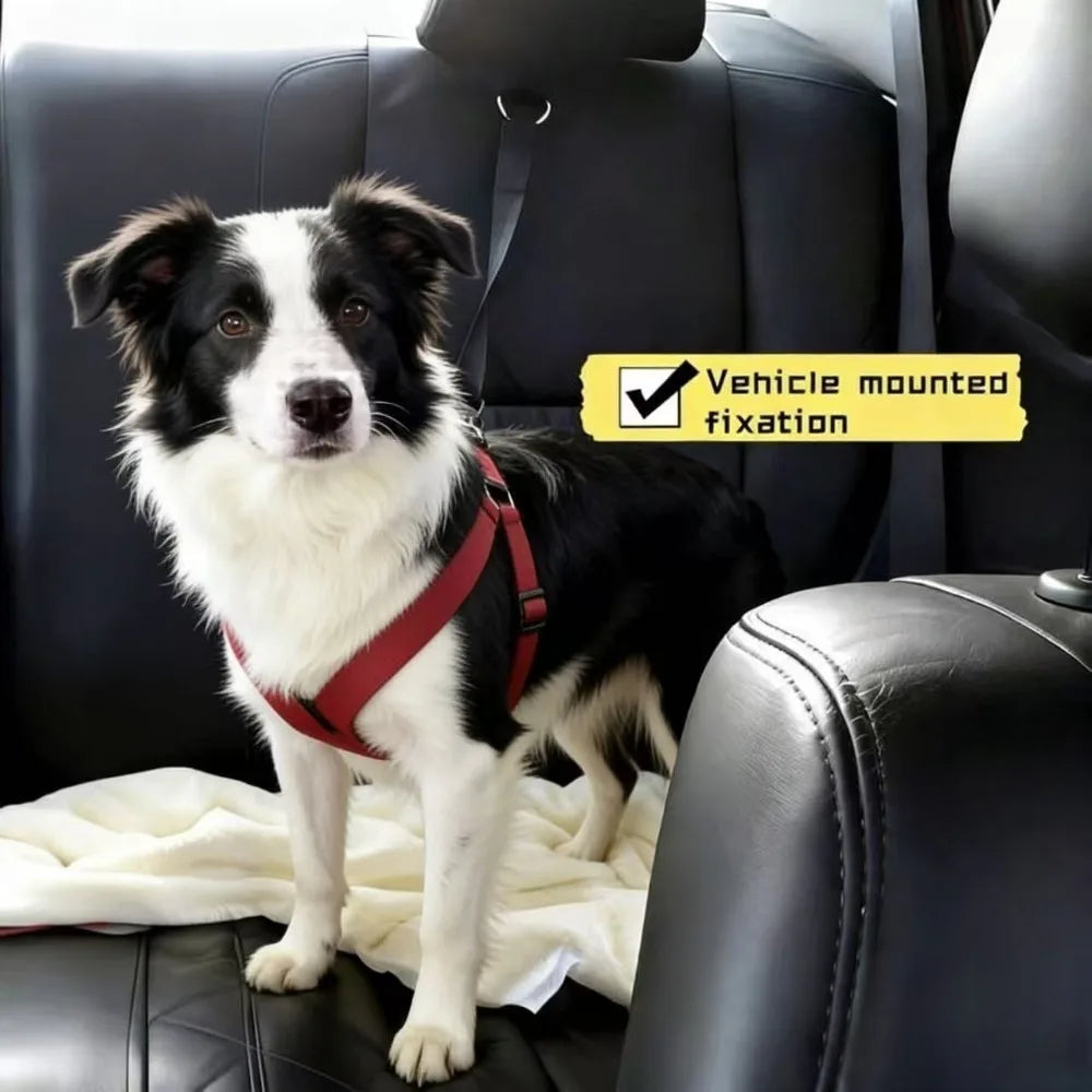 Pet Car Seat Belt, Nylon Leash, Rear Seat Belt