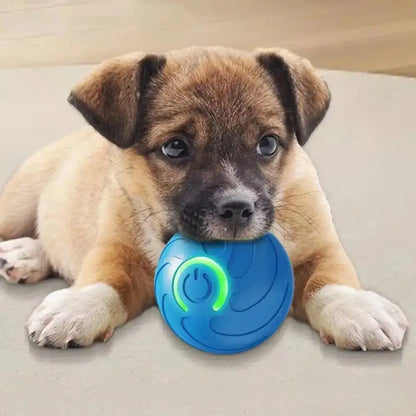 Smart Dog Toys Ball Electronic Interactive Pet Toy Moving Ball