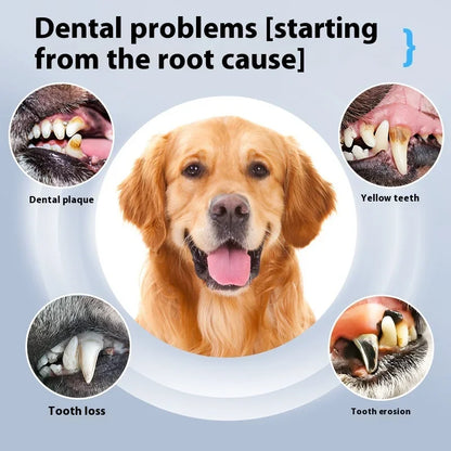 Dog Cat Grooming Smart Dental Ultrasonic Scaler Household Tooth Stone