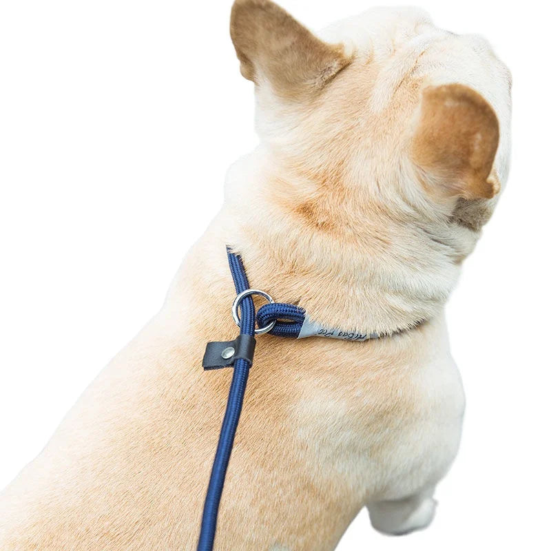 Adjustable Collar Harness Dog Leash Nylon Pet Lead Leash