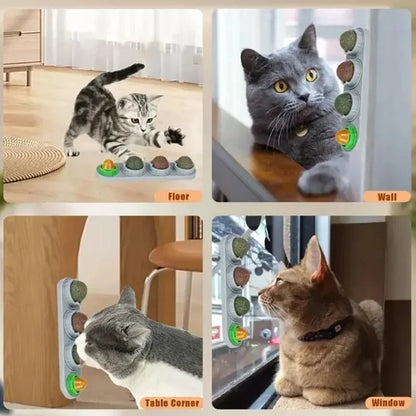 4 in 1 Rotating Catnip Silver Vine Ball Teeth Cleaning