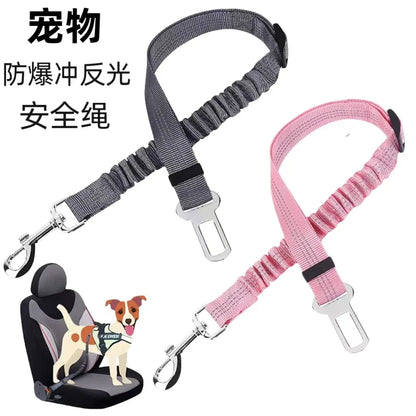 Dog Safety Leash Adjustable Retractable Cushioning Elastic
