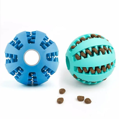 Alleviating Canine Tooth Pain Slowly Eat Chew Snacks And Distribute