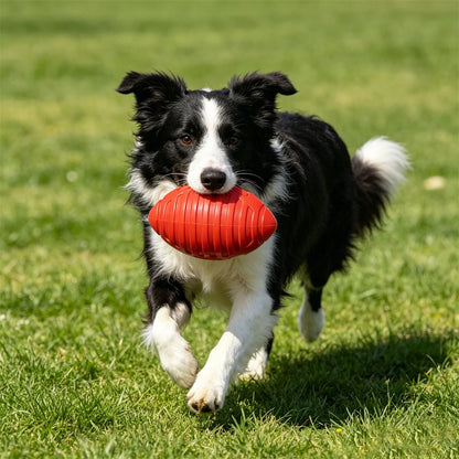 Safe Rubber Big Dog Toys for Aggressive Chewers Playing
