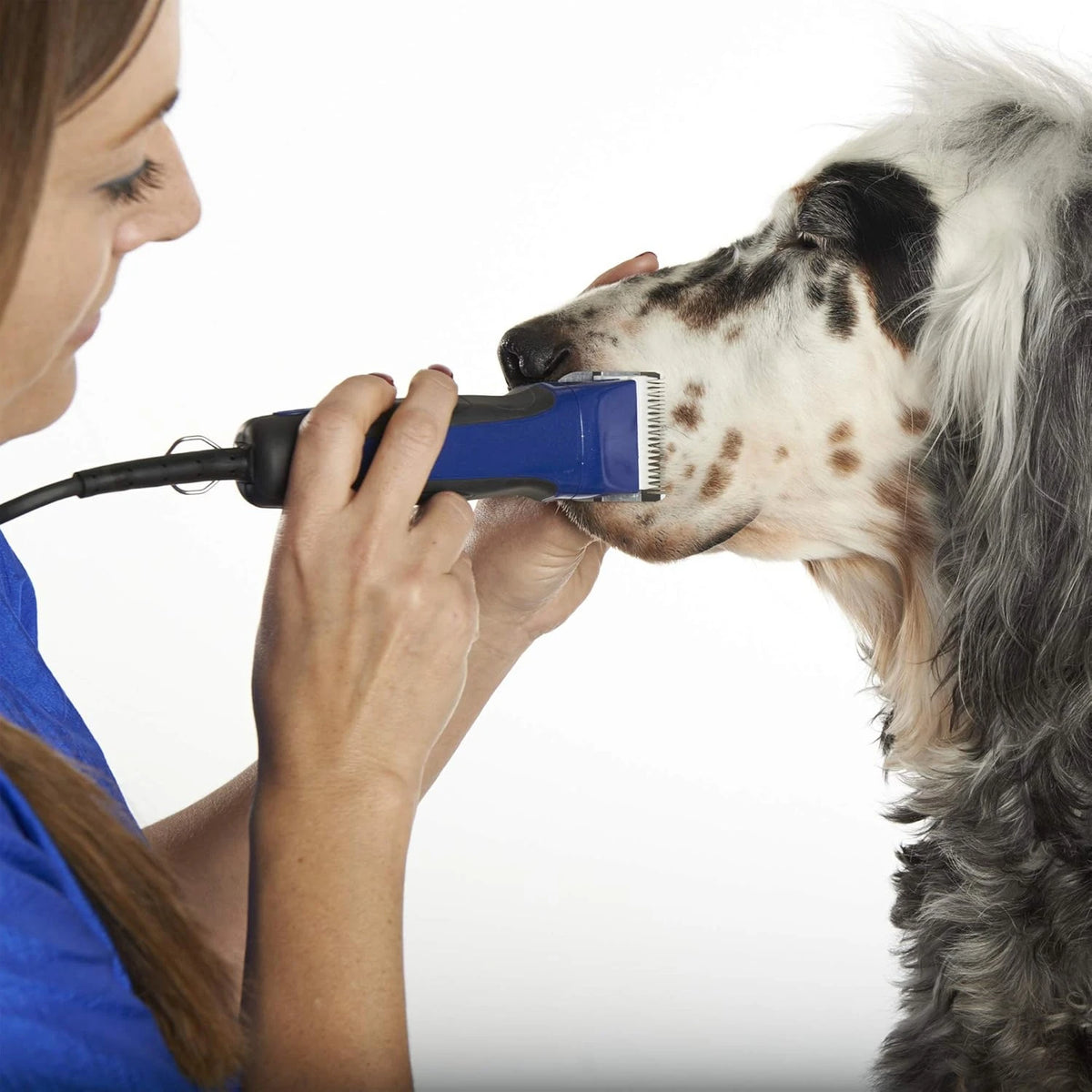 Detachable Pet Grooming Dog Trimmer Replacement Ceramic Blade Compatible