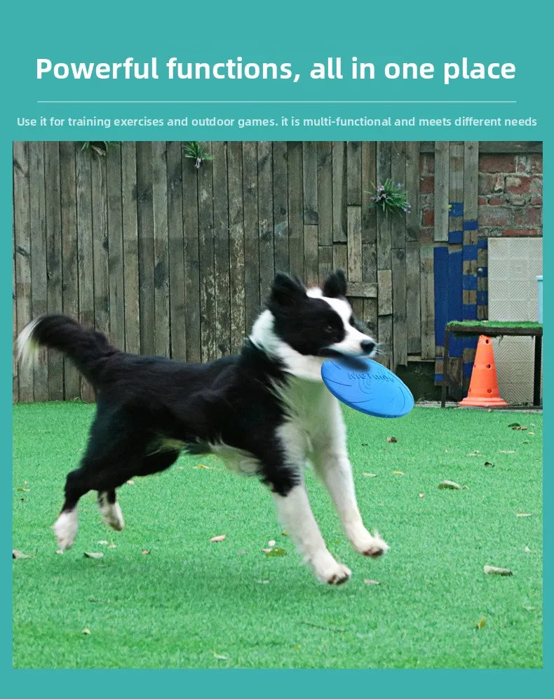 Dog Frisbee Border Animal Pet Dog Special Frisbee Bite