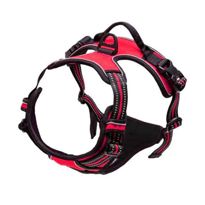 Reflective Easy Control Handle for Large Dog Walking