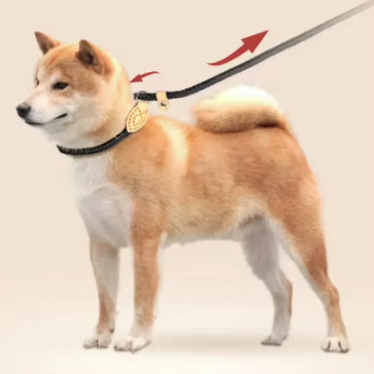 Adjustable Collar Harness Dog Leash Nylon Pet Lead Leash