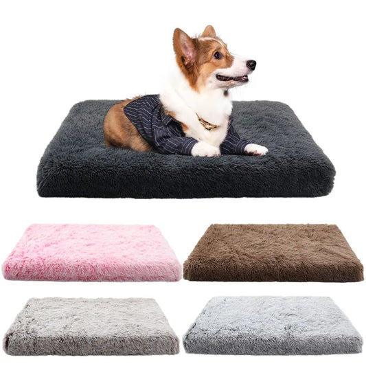 Dog Bed Super Soft Plush Cat Beds for Small Medium Large Dogs Removable