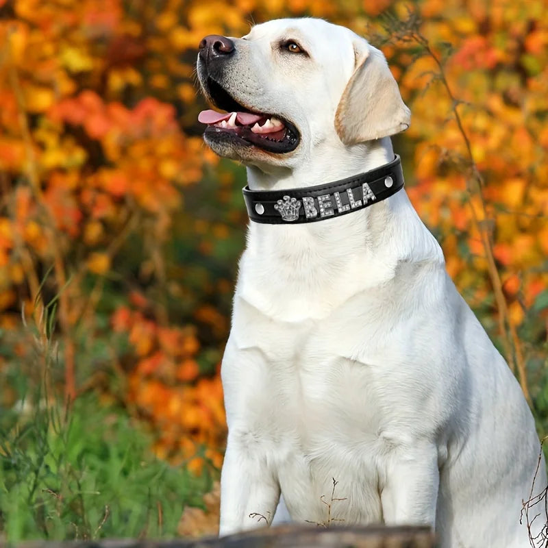 Personalized Dog Name Collar Faux Leather Puppy Cat ID Collars