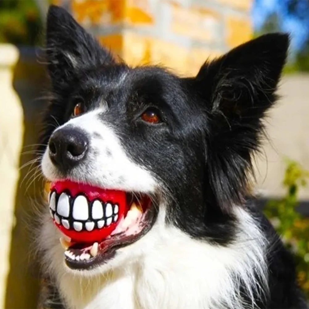 Rubber Dog Teeth Ball Toys Squeaky Cleaning Tooth