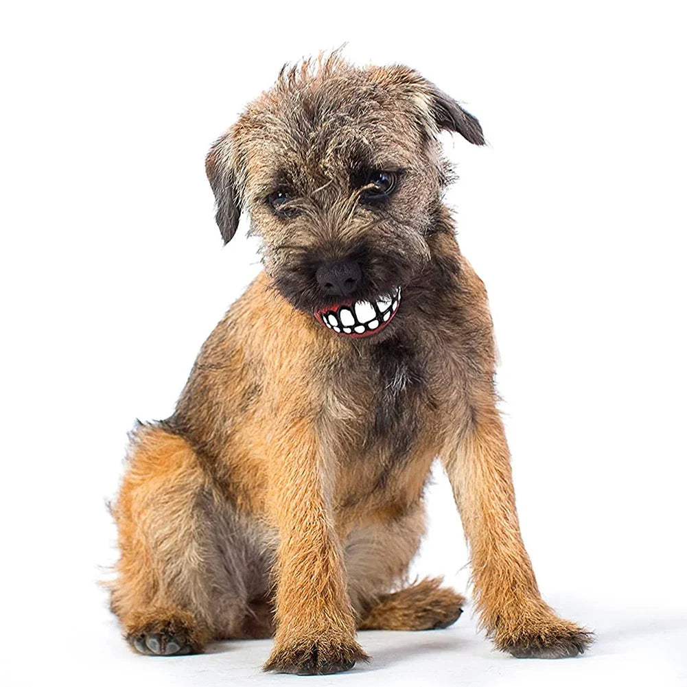 Rubber Dog Teeth Ball Toys Squeaky Cleaning Tooth