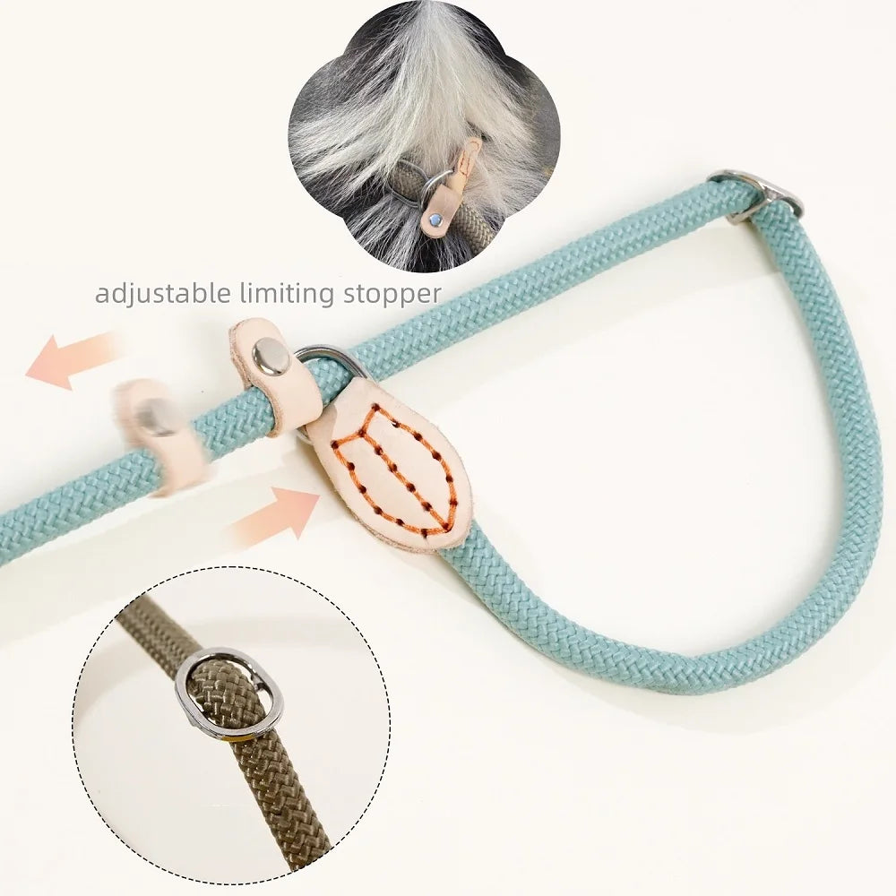 Dog Leash Slip Rope Lead Leash Heavy Duty Braided