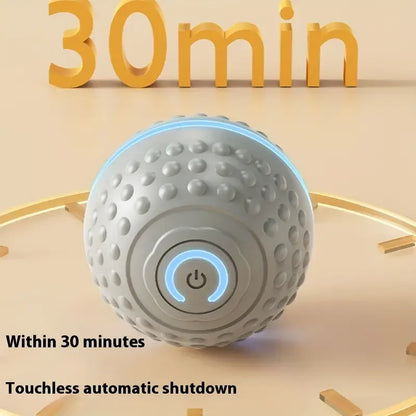 Smart Dog Toy Ball Automatic Interactive Pet Chew Toy