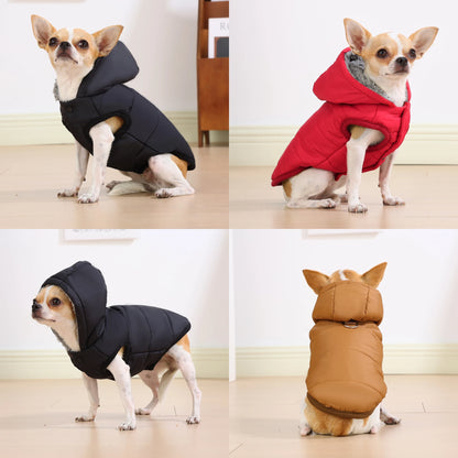 Windproof Hooded Dog Jacket Coat For Small Medium Dogs