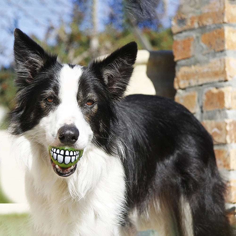 Rubber Dog Teeth Ball Toys Squeaky Cleaning Tooth