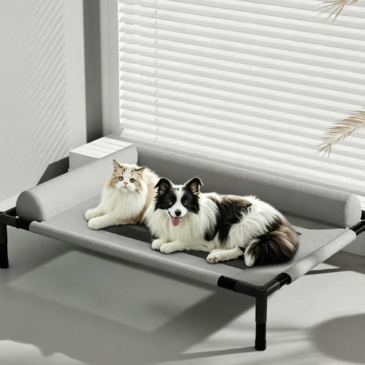 Medium Large Pet Bed Breathable Raised Mesh Sofa for Cats And Dogs