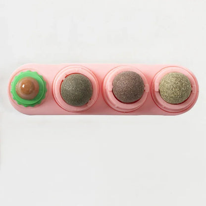 4 in 1 Rotating Catnip Silver Vine Ball Teeth Cleaning