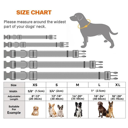 10 Colors Pet Dog Collar Nylon Neck Collar for Small Mdium