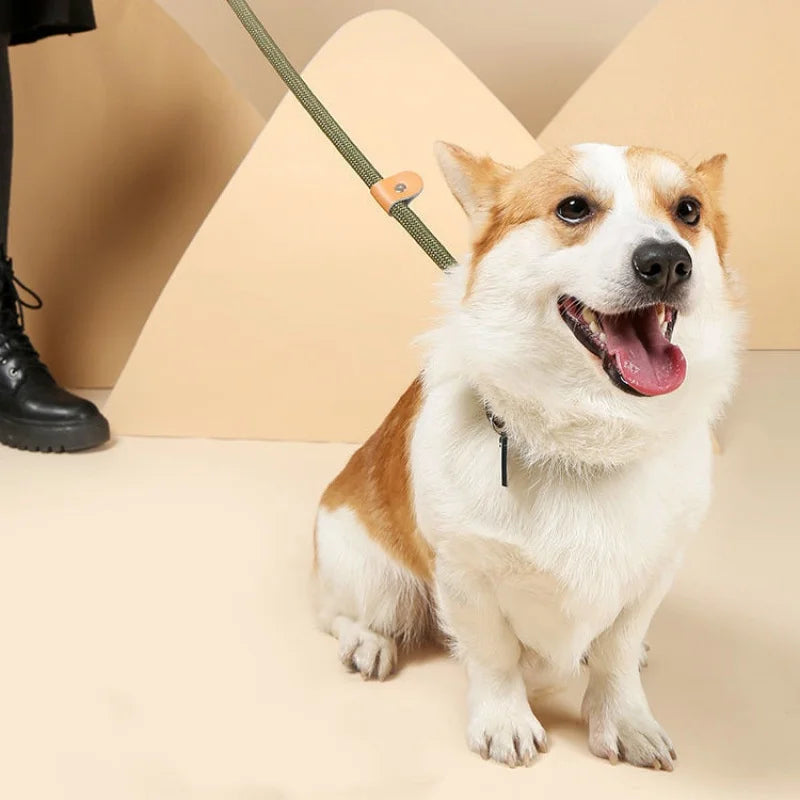 Adjustable Collar Harness Dog Leash Nylon Pet Lead Leash