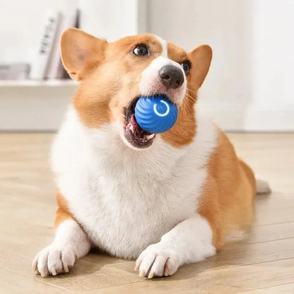 Smart Dog Toys Ball Electronic Interactive Pet Toy Moving Ball