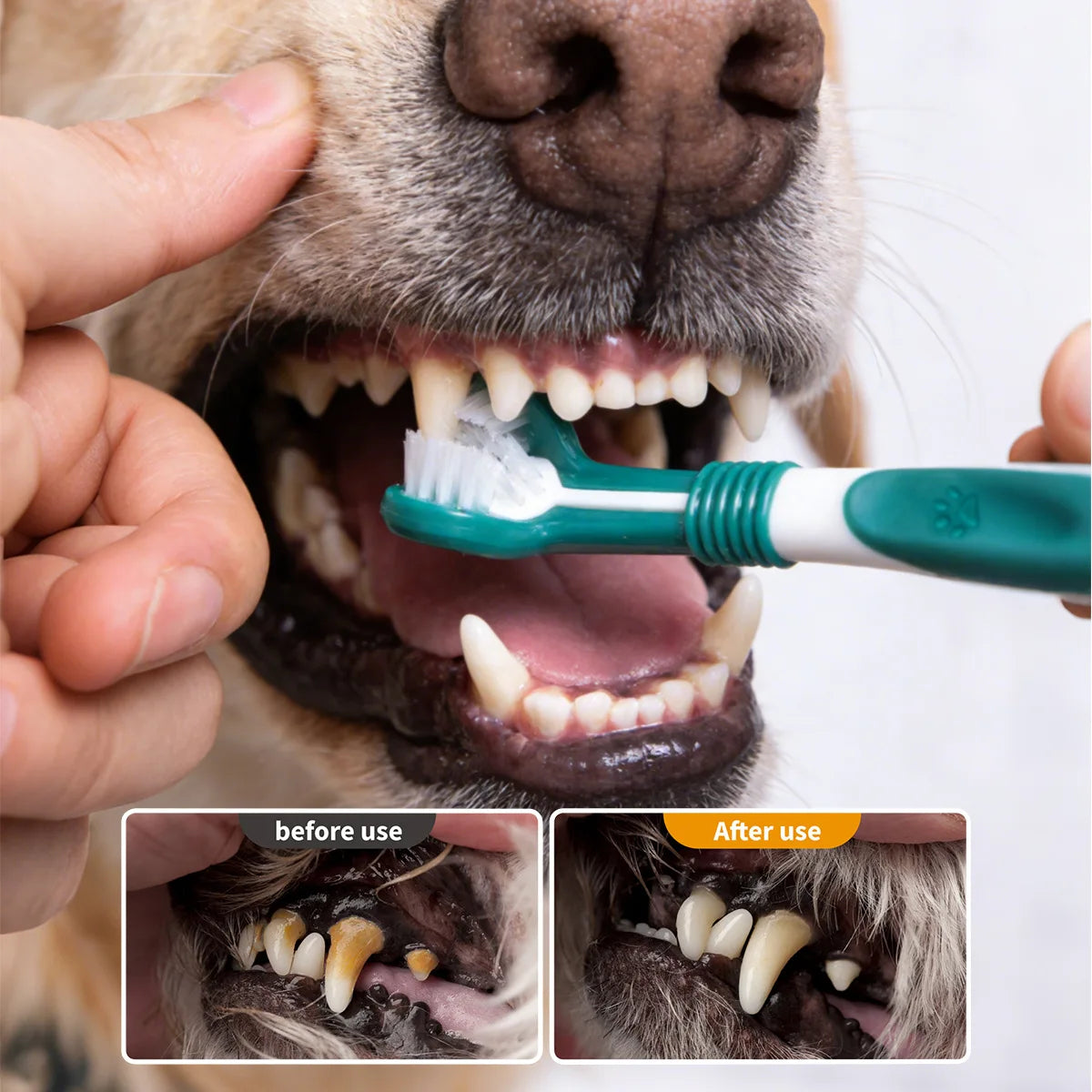 Dog Plastic Toothbrush Removing Tartar Cleaning Mouth Pet Care