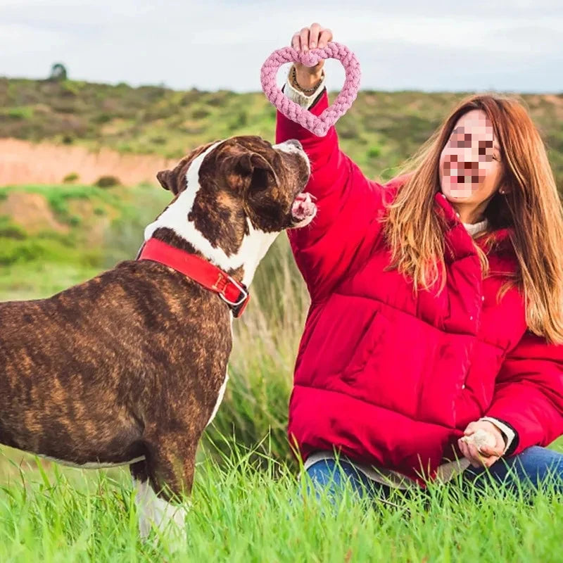Ideal for All Breeds, Teeth Cleaning & Playtime Fun