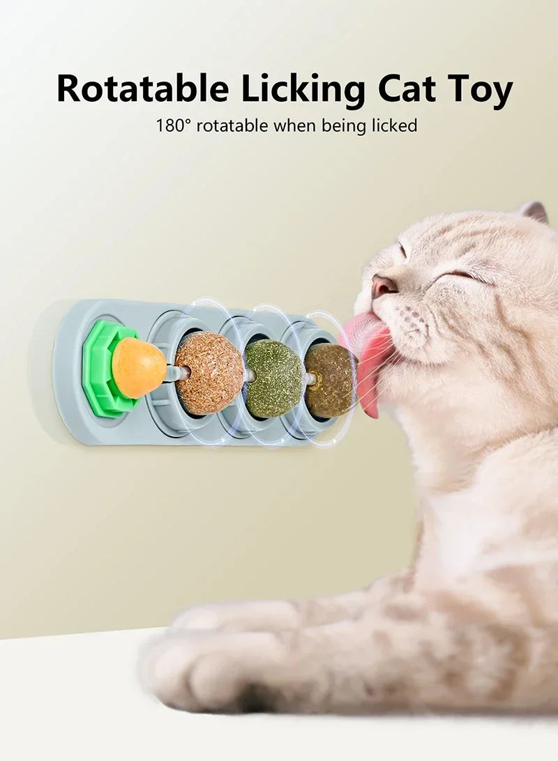 4 in 1 Rotating Catnip Silver Vine Ball Teeth Cleaning