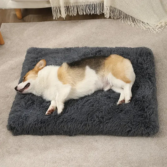 1 Square Soft Cushion for Orthopedic Pet Bed