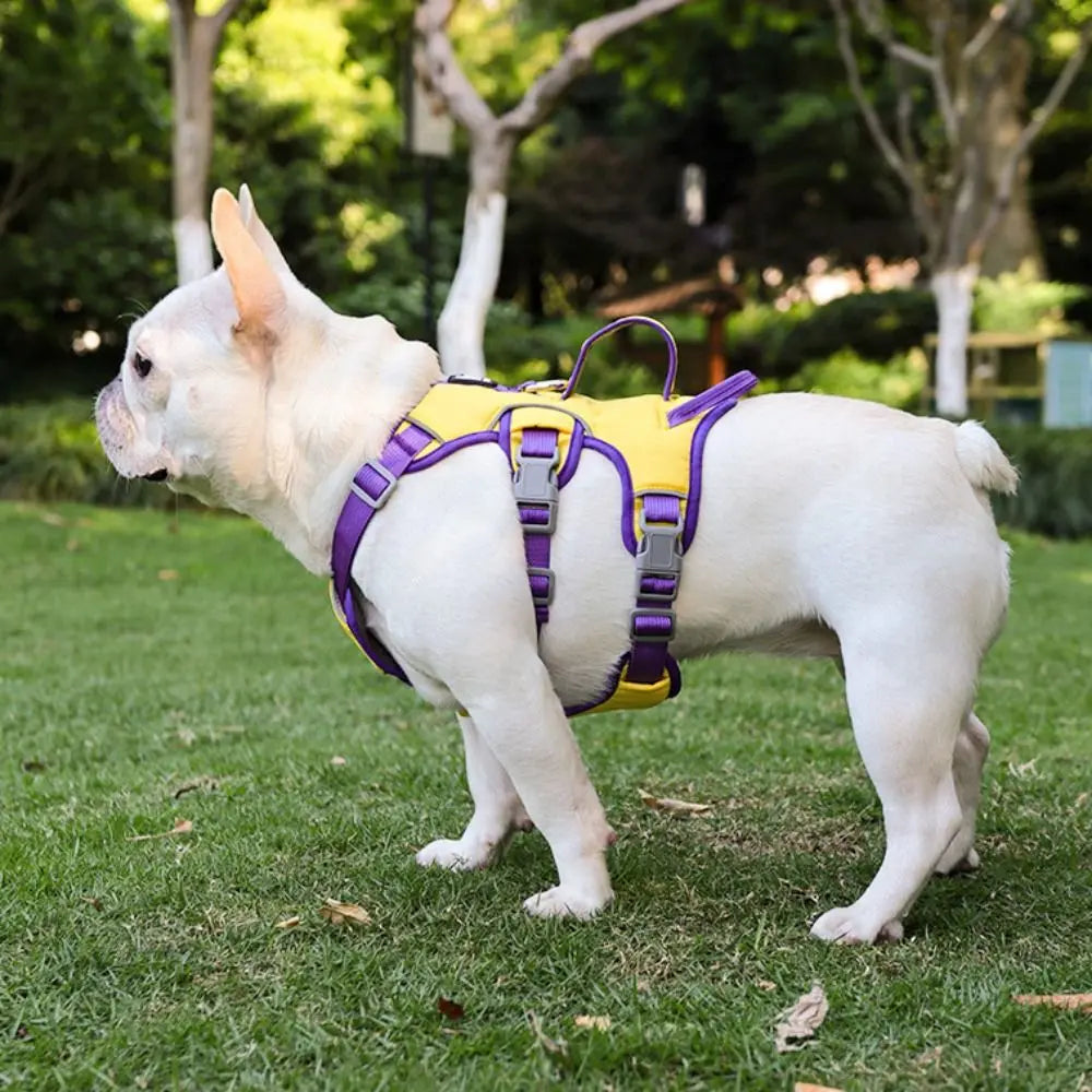 Adjustable Reflective Puppy Chest Strap Oxford Breathable Dog Harness