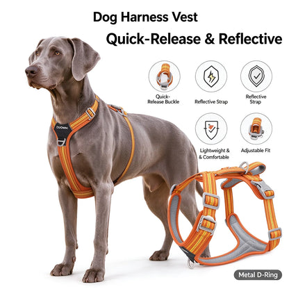 Dog Harness Car Safety Vehicle Seat Belt with Dual Handle