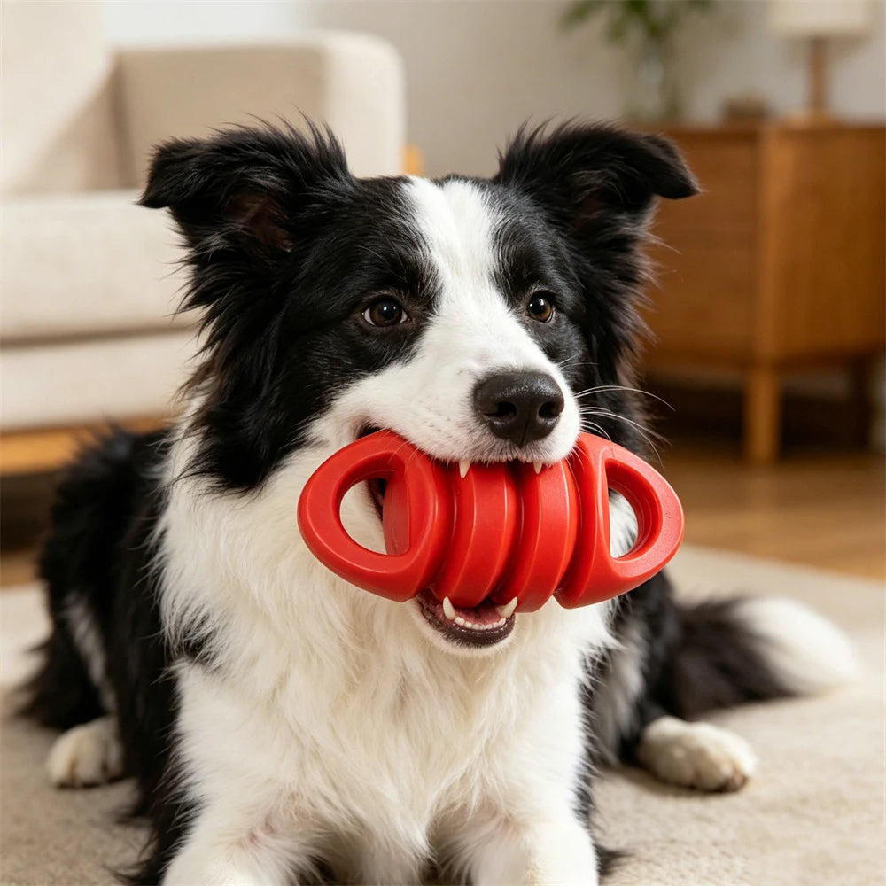 Safe Rubber Big Dog Toys for Aggressive Chewers Playing