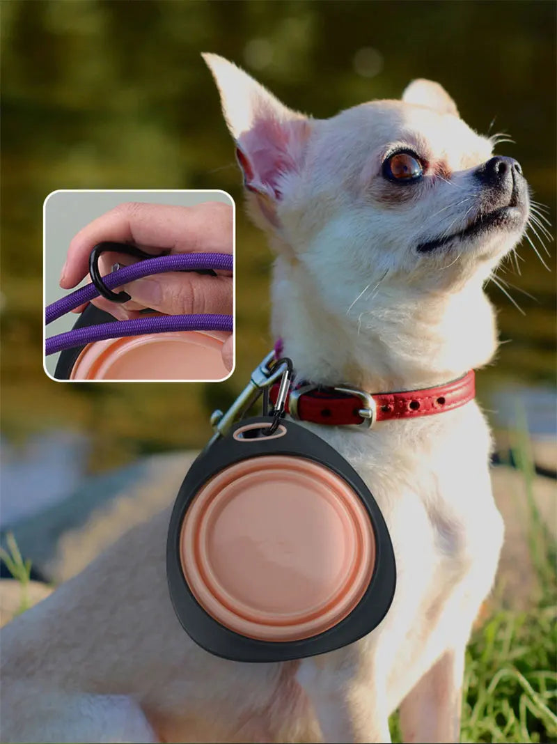 Pet Folding Silicone Bowl Collapsible Pet Outdoor