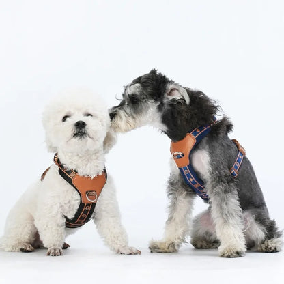 Pet Dog Harness with Durable Webbing  Anti-Deformation Alloy Ring