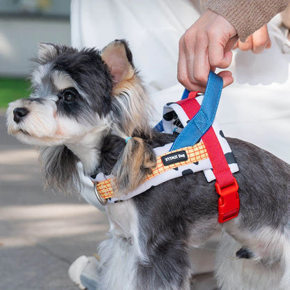 Dog Harness and Leash Set,Saddle Style Plaid