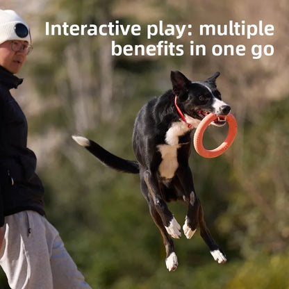 Bite-Resistant Soft Pull-Ring Frisbee Dog Training