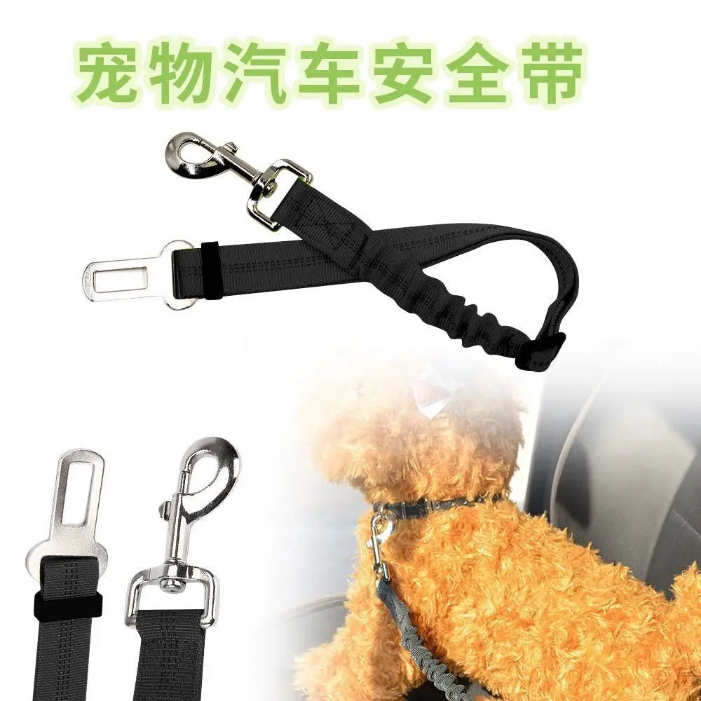 Dog Safety Leash Adjustable Retractable Cushioning Elastic