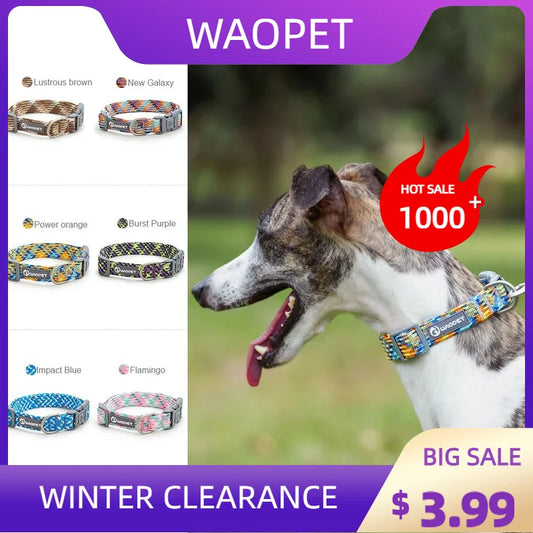 Pet Supplies Dog Collar For Puppy Medium Large Dogs Cute Cat Durable