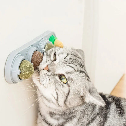 4 in 1 Rotating Catnip Silver Vine Ball Teeth Cleaning