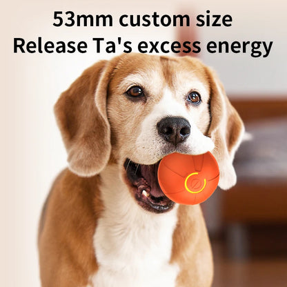 Smart Dog Toy Ball Automatic Interactive Pet Chew Toy