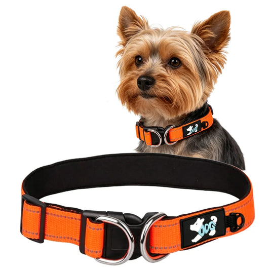 Reflective Comfort Lined Dog Collar with Dual D-Rings for Force Distribution Suitable for Small to Medium Dogs