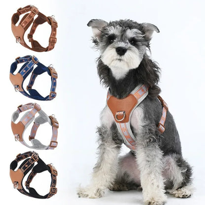 Pet Dog Harness with Durable Webbing  Anti-Deformation Alloy Ring