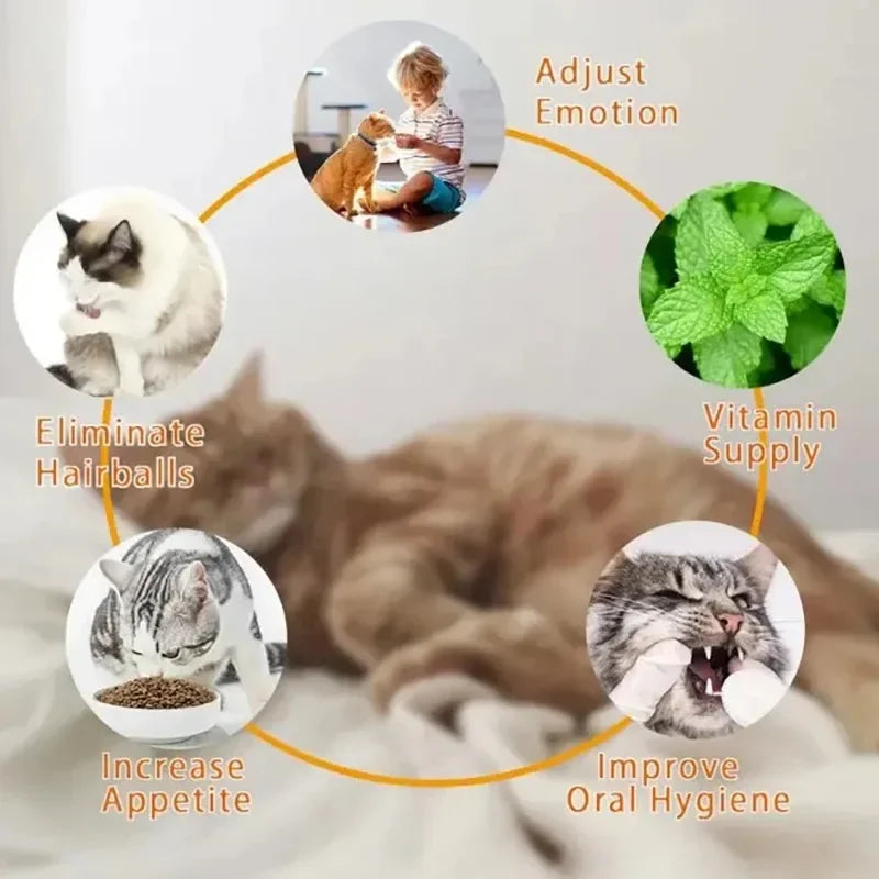 4 in 1 Rotating Catnip Silver Vine Ball Teeth Cleaning