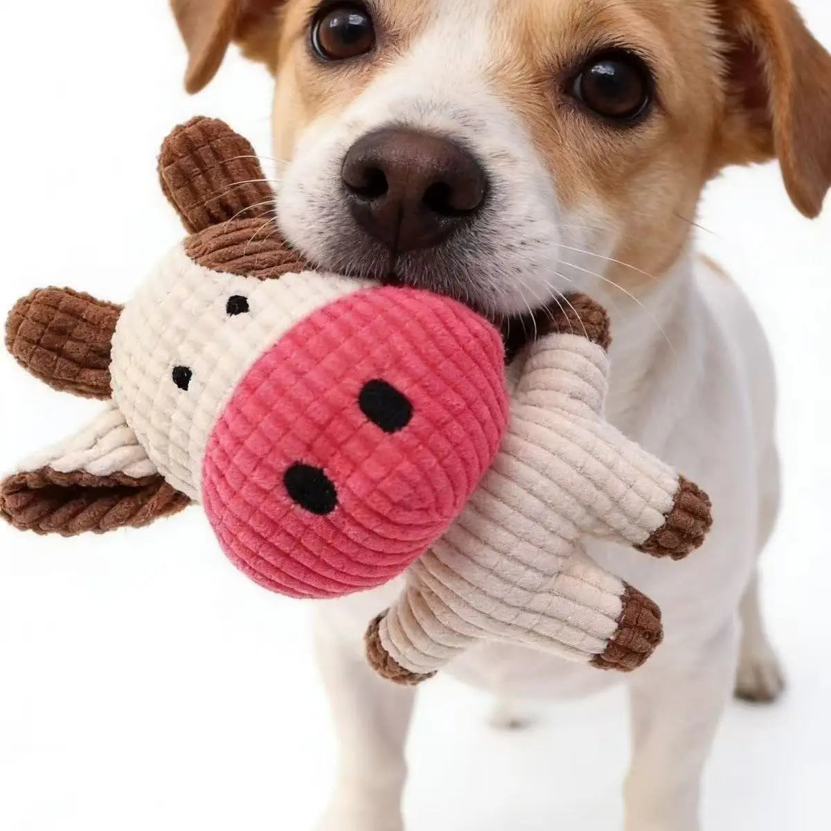 Cute Pig Shape Pet Dog Toys Corduroy Plush Squeaky