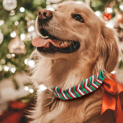 Durable Nylon Pet Dog Collar For Christmas Gifts