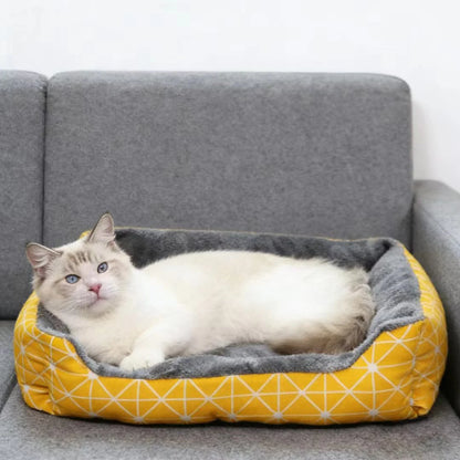 Four Season Universal Pet Bed Cute Dinosaur Print Washable