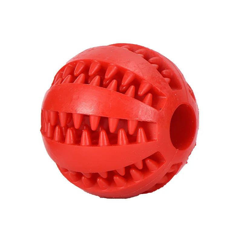 Alleviating Canine Tooth Pain Slowly Eat Chew Snacks And Distribute