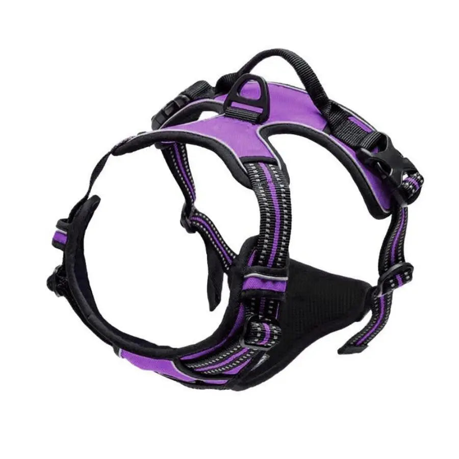 Reflective Easy Control Handle for Large Dog Walking