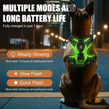LED Glowing Luminous Dog Harnesses Essential for Dog Walking Safety